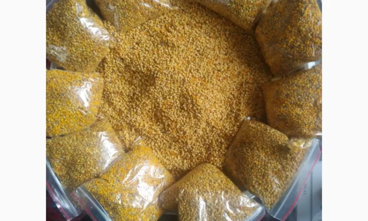 Продам бджолиний пилок - фото № 1