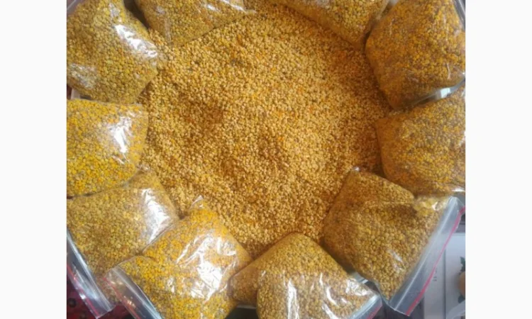 Продам бджолиний пилок - фото № 2