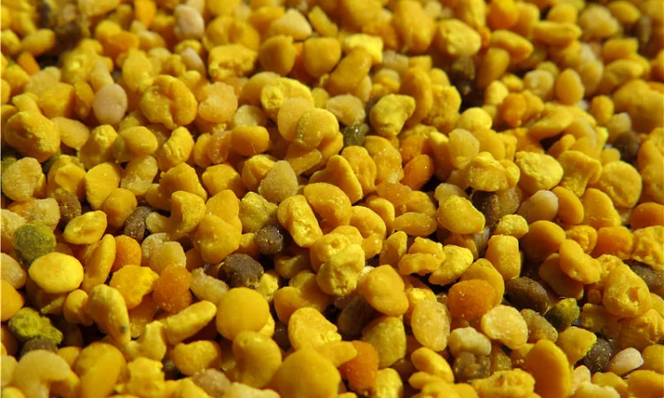 Пыльца 2024 года - фото № 2