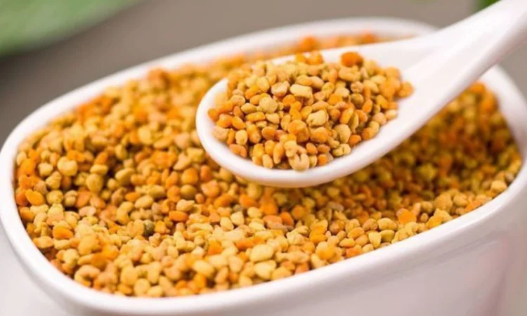 Купуємо "Пилок" 2024 року – вигідні ціни та зручні умови - фото № 1