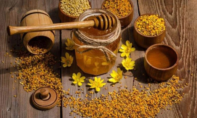 Квітковий пилок, обніжжя, пильця, обножка, бджолина - фото № 1