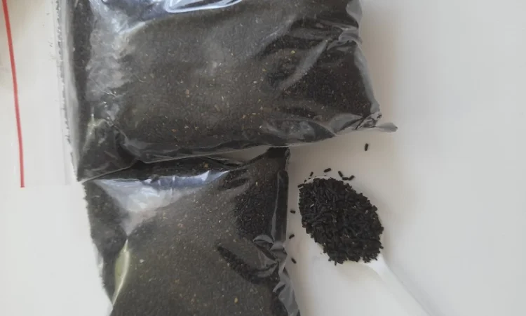 Продукт життєдіяльності личинок воскової молі - фото № 1