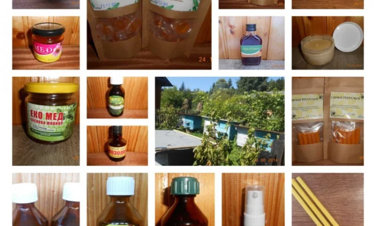 Ліки на основі продуктів бджільництва - фото № 1
