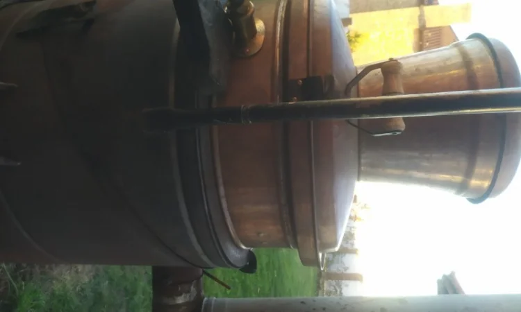 Прополіс, Пилок, Воскова Міль, Бджолиний Підмор, ПЖВМ - фото № 5