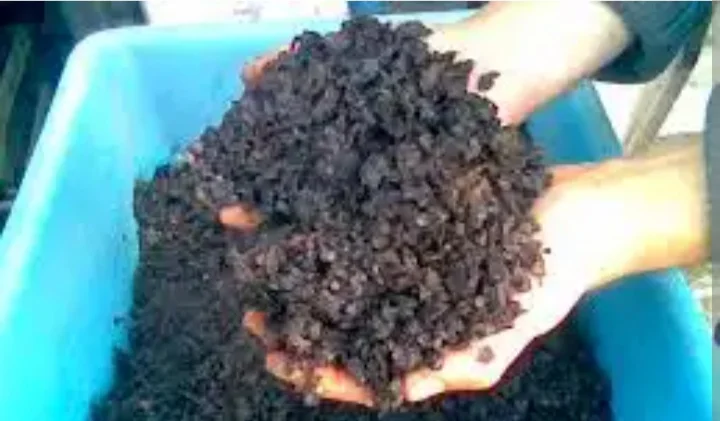 Куплю мерву - фото № 1