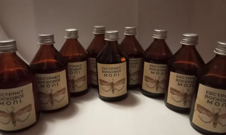 Настоянка воскової молі - фото № 1