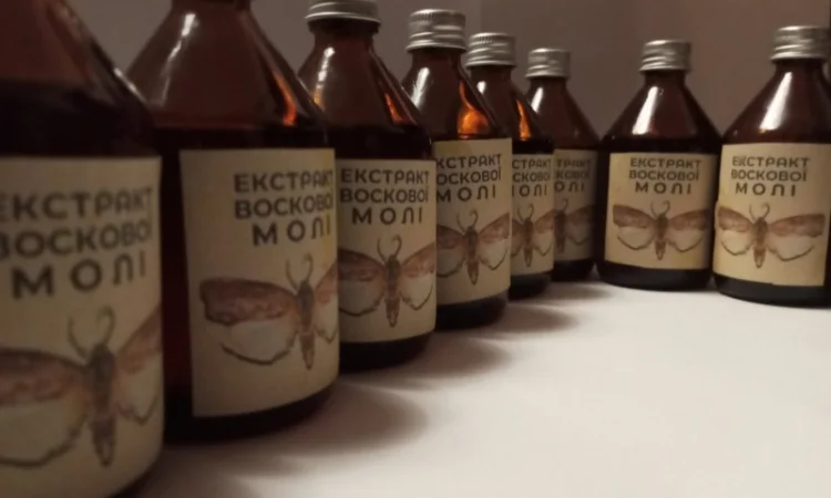 Настоянка воскової молі - фото № 10