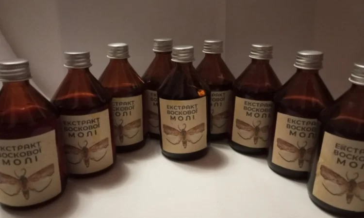 Настоянка воскової молі - фото № 2