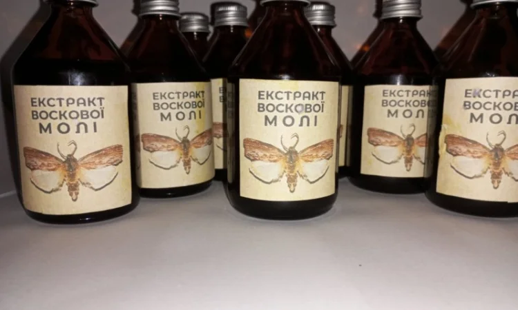 Настоянка воскової молі - фото № 3