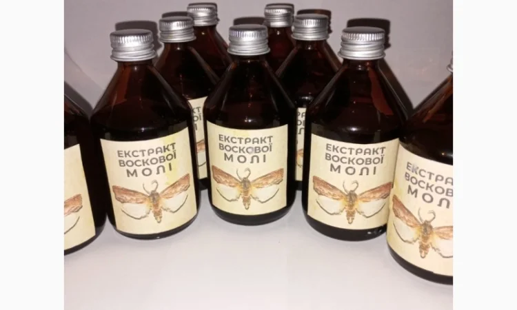 Настоянка воскової молі - фото № 5