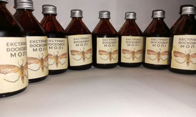 Настоянка воскової молі - фото № 6