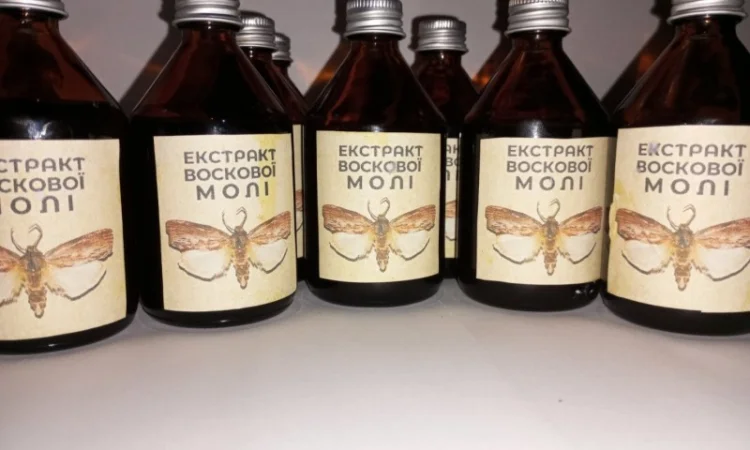 Настоянка воскової молі - фото № 7