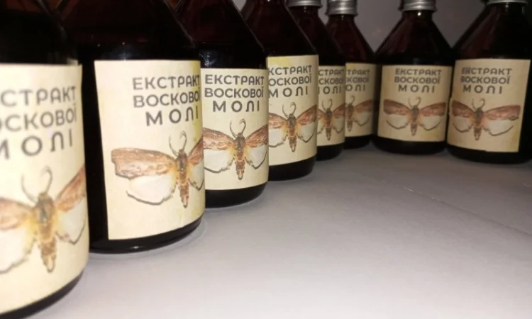 Настоянка воскової молі - фото № 9