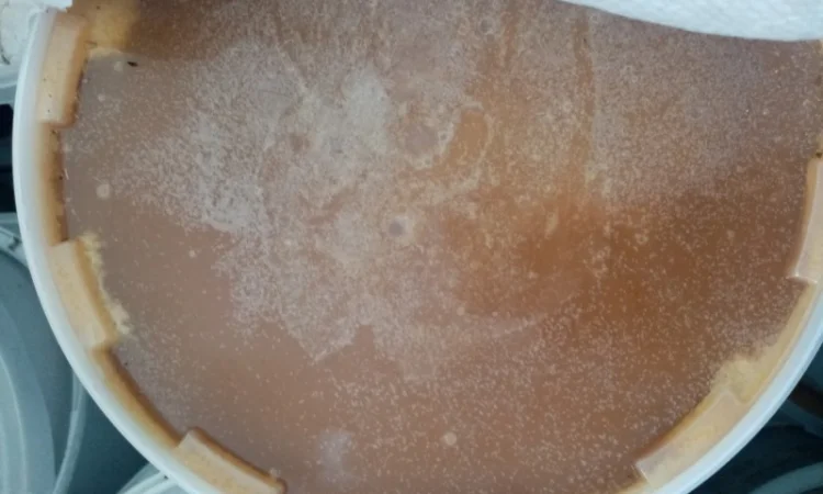 Продам мед, пилок, пергу, сотовий мед - фото № 1