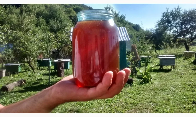 Продам МЕД, забрус, ПИЛОК, прополіс - фото № 1