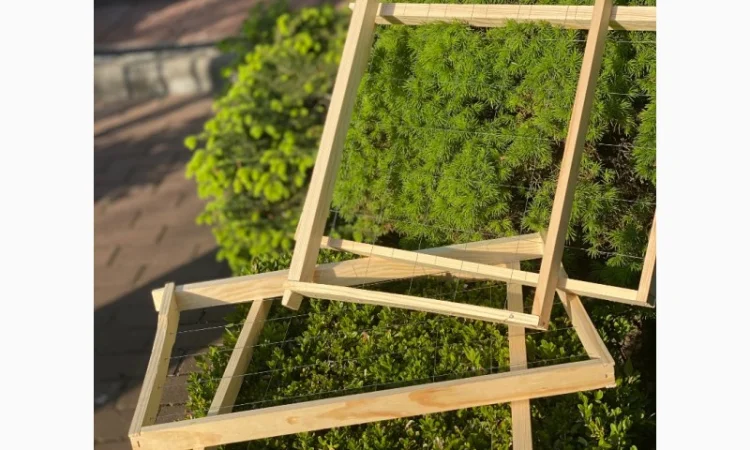 Рамки для ульев — еврорамки с отверстиями из сосны - фото № 1