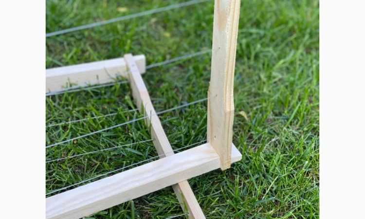 Рамки для вуликів від виробника – Дадан, Рута, напіврамка - фото № 3