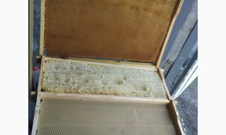 Продам сушь – рамки 300 и 145 - фото № 1