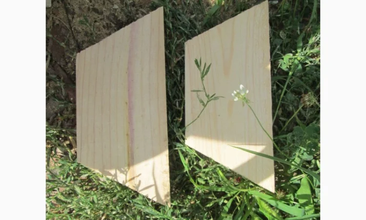 Лежаки на 20, 22 и 24 рамки Дадан из сосны - фото № 6