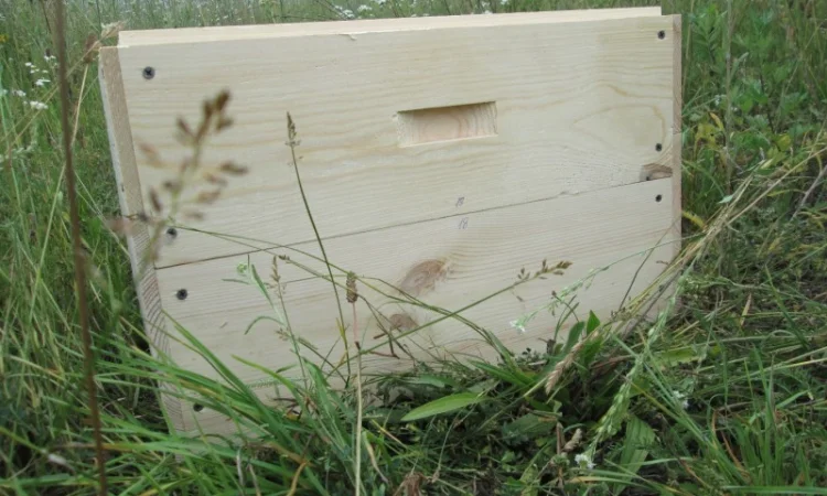 Продам корпус для вулика на рамку 300 мм - фото № 2