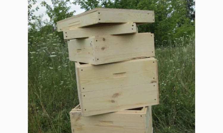 Вулик, улики, улья для бджіл - фото № 2