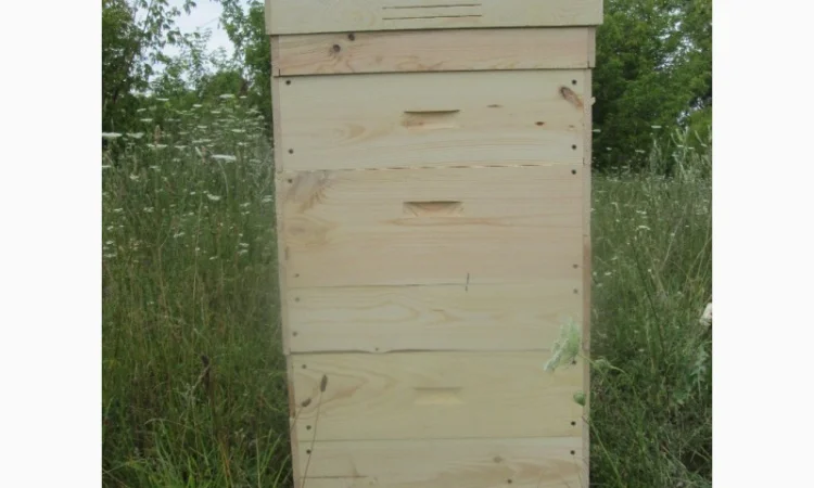 Вулик, улики, улья для бджіл - фото № 4