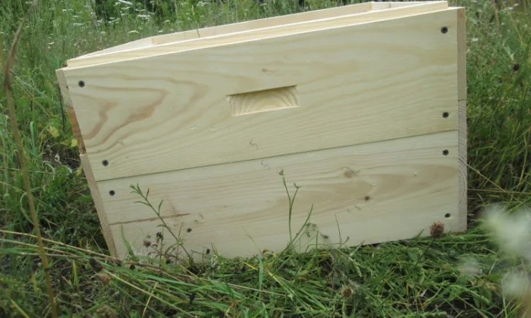Вулик, улики, улья для бджіл - фото № 7