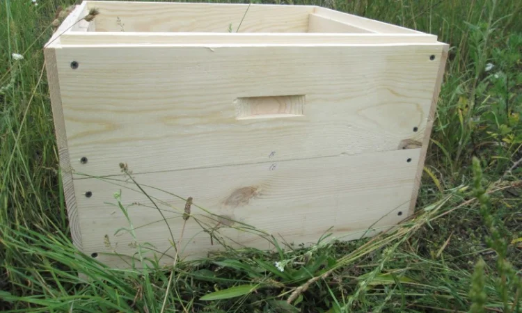 Вулик, улики, улья для бджіл - фото № 8