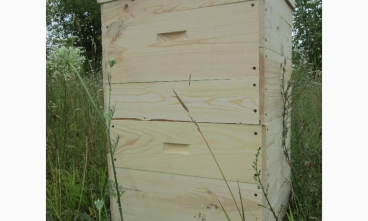 Продажа ульев из сосны - фото № 5
