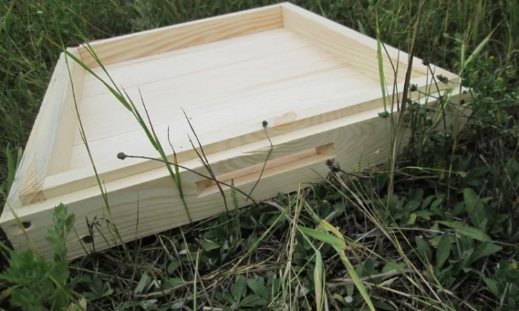 Дно для вулика на 10 рамок із сосни - фото № 1