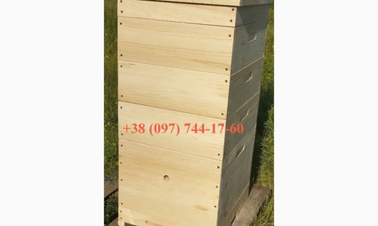 Вулики Рута та Дадан (10 і 12 рамок) — клеєні в шпунт на водостійкому клеї - фото № 1