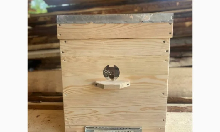 Улей Дадан 10-рамочный, однокорпусный, полностью укомплектованный - фото № 1