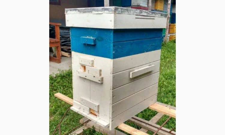 Продам нові 8-рамкові полегшені вулики «Інтелігент» з магазином на 145 та перегородкою - фото № 2