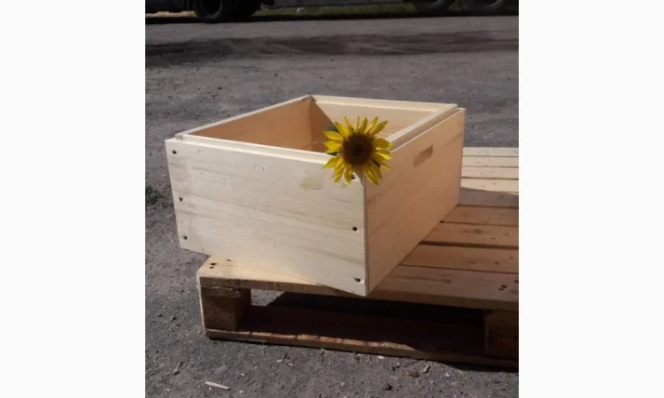 Вулики для бджіл під різні рамки (8–12 рамок, лежаки) - фото № 3