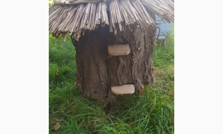 Вулик на 12 рамок – власне виробництво, продаж - фото № 1