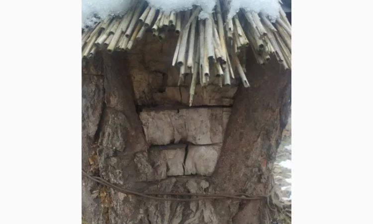 Вулик на 12 рамок – власне виробництво, продаж - фото № 2