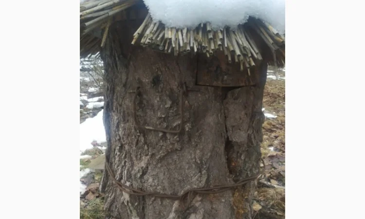 Вулик на 12 рамок – власне виробництво, продаж - фото № 3