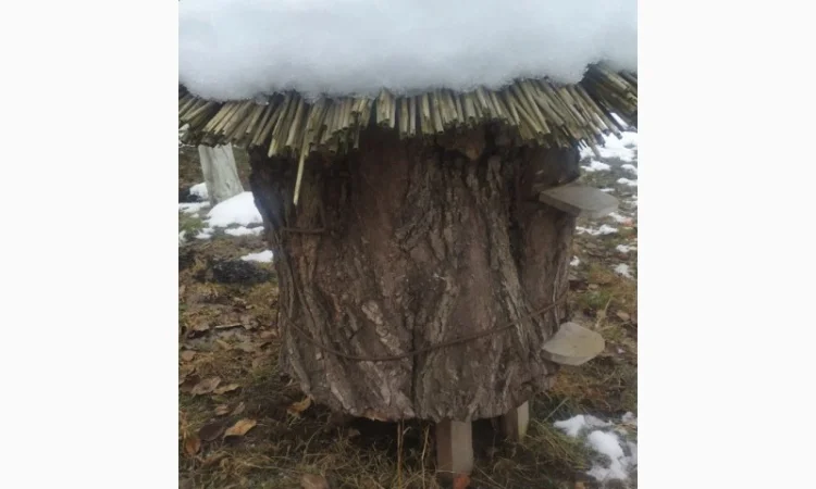 Вулик на 12 рамок – власне виробництво, продаж - фото № 4