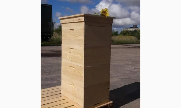 Продам днище и корпуса для вуликов - фото № 7