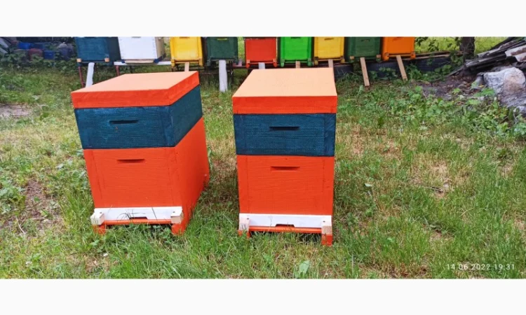 Вулик Дадан ППУ на 8 рамок з дном, магазином та дахом - фото № 1