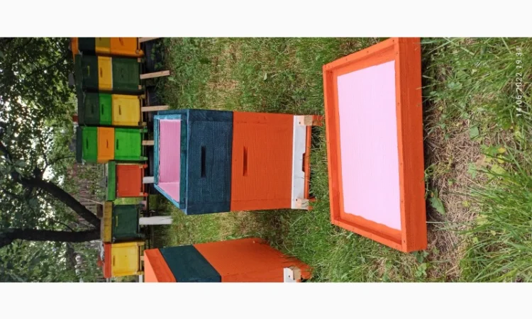 Вулик Дадан ППУ на 8 рамок з дном, магазином та дахом - фото № 2