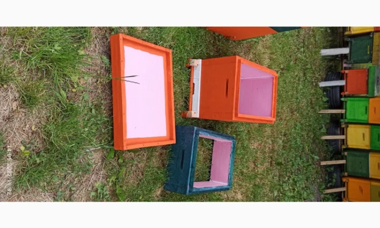 Вулик Дадан ППУ на 8 рамок з дном, магазином та дахом - фото № 3