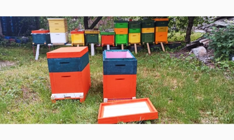 Вулик Дадан ППУ на 8 рамок з дном, магазином та дахом - фото № 4