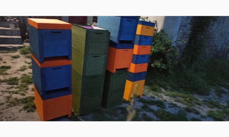 Вулик Дадан ППУ на 8 рамок з дном, магазином та дахом - фото № 6