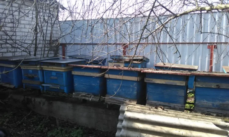 Продаю вулики б/у з рамками та корпусами, медогонки - фото № 1