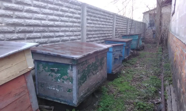 Продаю вулики б/у з рамками та корпусами, медогонки - фото № 3