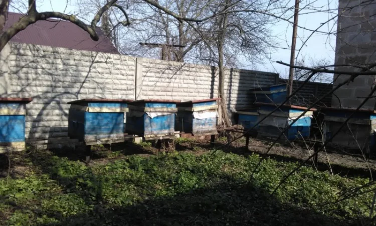 Продаю вулики б/у з рамками та корпусами, медогонки - фото № 4