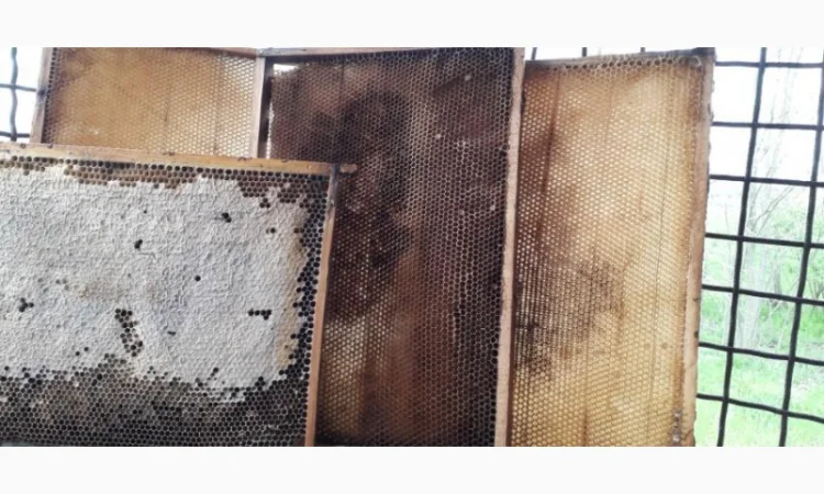 Продаю пасеку з вуликами, рамками та сушшю - фото № 1