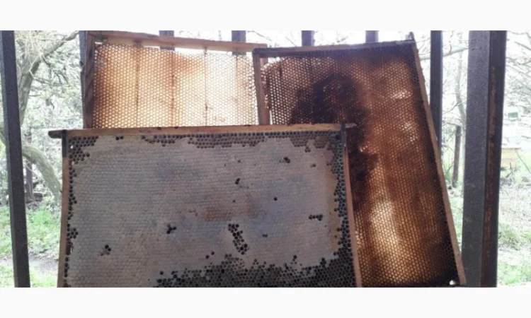 Продаю пасеку з вуликами, рамками та сушшю - фото № 2