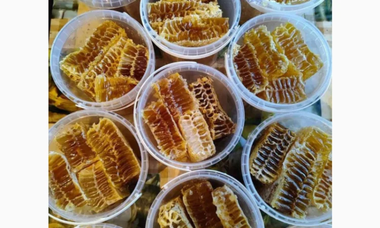 Пластикові харчові відра для меду оптом від виробника Луцьк - фото № 4